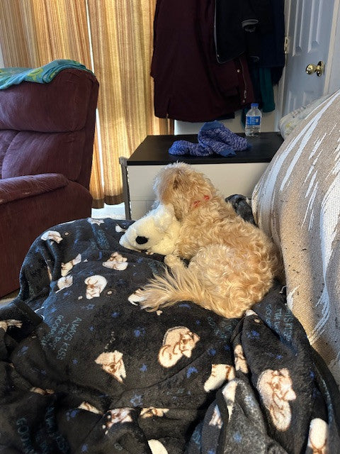 <h2><strong>4.9★ Average Rating</strong></h2><h2><strong>See Why Dogs (and Their Owners) Are Raving About The Whiffie</strong></h2>